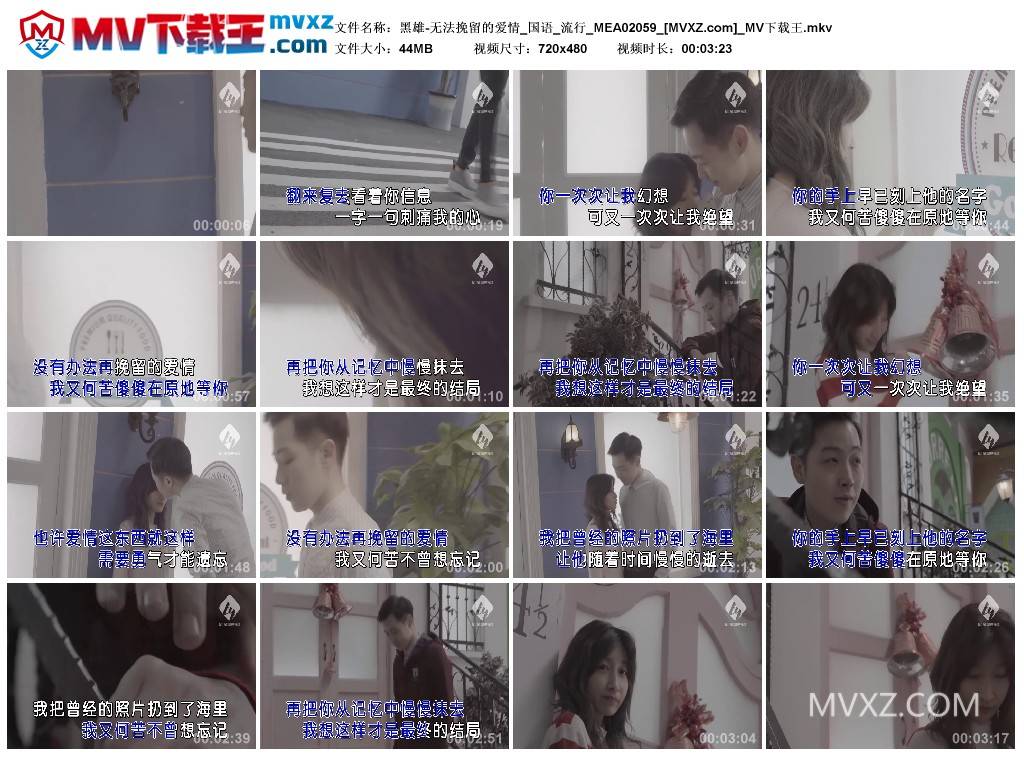 黑雄-无法挽留的爱情_国语_流行_MEA02059